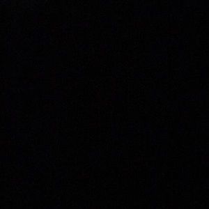 Meet your Posher, Alisha